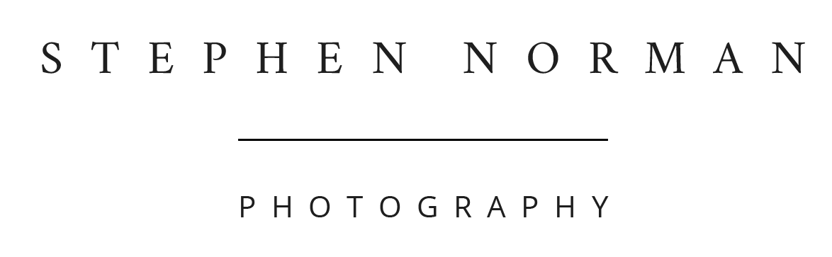 Stephen Norman Logo
